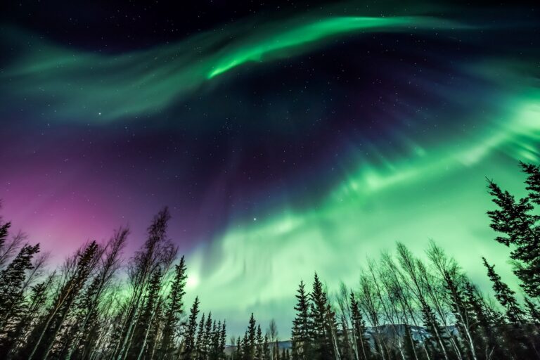 Northern Lights